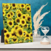 Plaque Photo Tournesol (Côté)