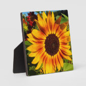 Plaque Photo Tournesol (Recto)