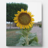 Plaque Photo Tournesol Art Imprimer Personnaliser Produit (Devant)