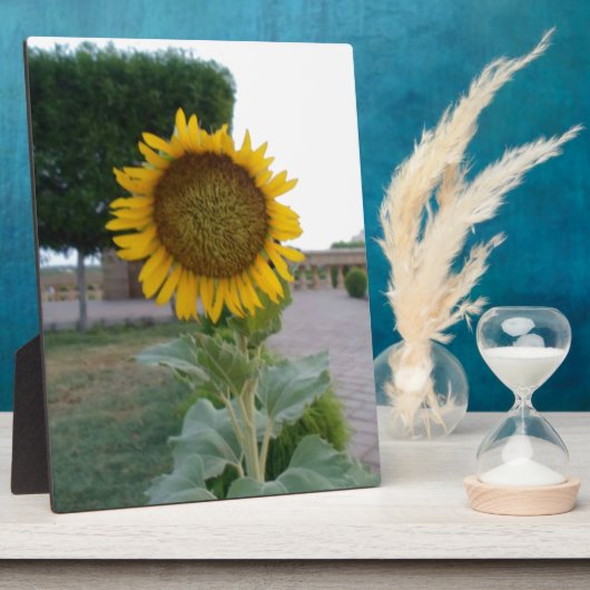 Plaque Photo Tournesol Art Imprimer Personnaliser Produit (Côté)