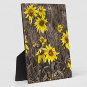 Plaque Photo Tournesol dans la Montagne Rocheuse (Côté)