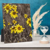 Plaque Photo Tournesol dans la Montagne Rocheuse (Côté)