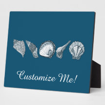 Tout Coquillage Couleur Dessiné À La Main