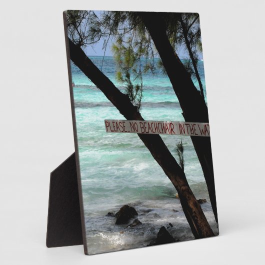 Plaque Photo Transats Rum Point Grand Cayman (Côté)