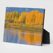 Plaque Photo Trembles colorés d'automne (Côté)