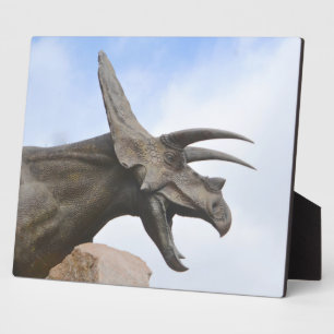 Plaque Photo Tricératops Dinosaur