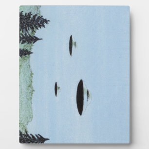 Plaque Photo Trio UFO
