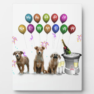 Plaque Photo Trois Chiens mignons qui souhaitent une bonne anné