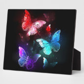 Plaque Photo Trois papillons brillants sur l'arrière - plan de (Côté)