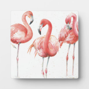 Plaque Photo Tropical Famille de Flamants roses
