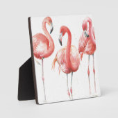 Plaque Photo Tropical | Famille de Flamants roses (Recto)