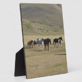 Plaque Photo Troupeau de chevaux (Côté)
