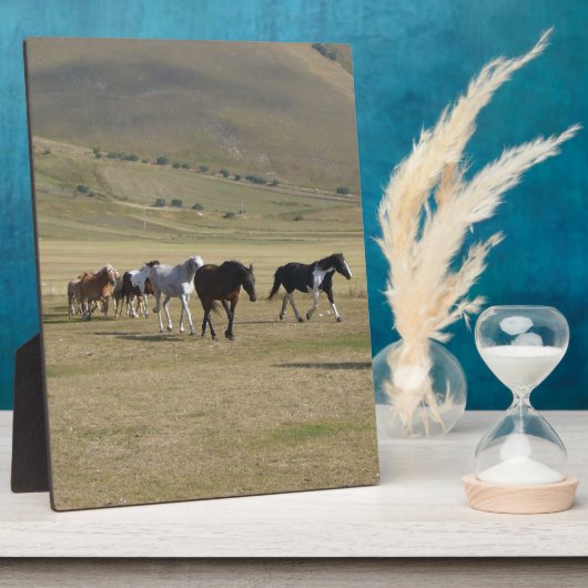 Plaque Photo Troupeau de chevaux (Côté)