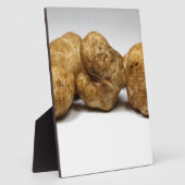 Plaque Photo Truffes blanches de l'espèce tuber oligospermum. (Côté)