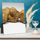 Plaque Photo Truffes blanches de l'espèce tuber oligospermum. (Côté)