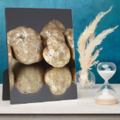 Plaque Photo Truffes blanches Tuber oligospermum (Côté)