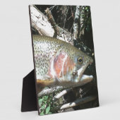 Plaque Photo Truite arc-en-ciel (Côté)