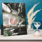 Plaque Photo Truite arc-en-ciel (Côté)
