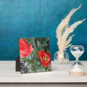 Plaque Photo Tuliforme rouge