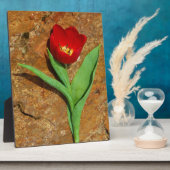 Plaque Photo Tulipe jaune et rouge (Côté)