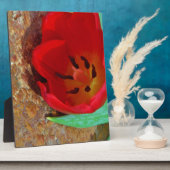 Plaque Photo Tulipe jaune printemps et rouge (Côté)