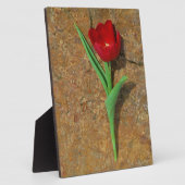 Plaque Photo Tulipe rouge et jaune (Côté)