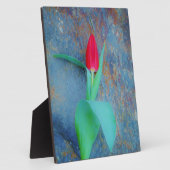 Plaque Photo Tulipe rouge sur ardoise gris bleu (Côté)