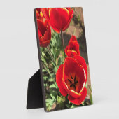 Plaque Photo Tulipes rouges à l'intérieur (Côté)