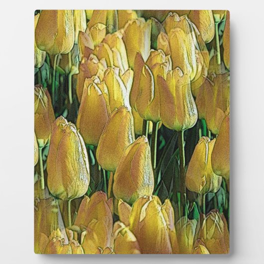 Plaque Photo Tulips Sunshine Yellow (Devant)