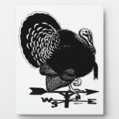 Plaque Photo Turquie Weathervane (Devant)