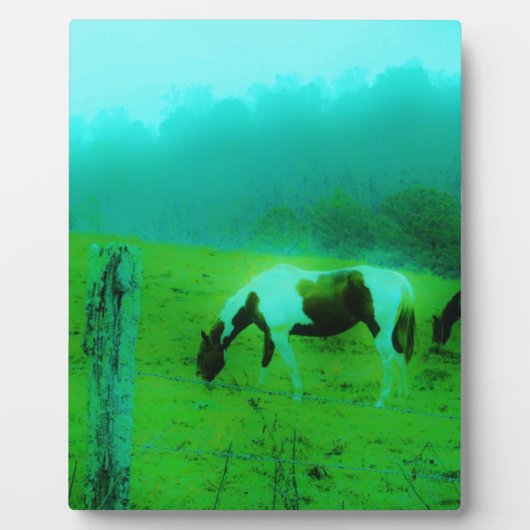 Plaque Photo Turquoise brouillard Reto colorié poney peint Chev (Devant)