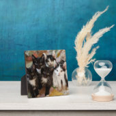 Plaque Photo Tuxedo (Insitu)