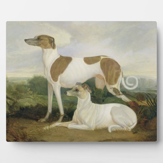 Plaque Photo Two Greyhounds in a Landscape (Devant)
