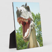 Plaque Photo Tyrannosaurus Rex dinosaure (Côté)