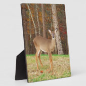 Plaque Photo Un cerf de rêve de chasseur (Côté)