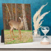 Plaque Photo Un cerf de rêve de chasseur (Côté)