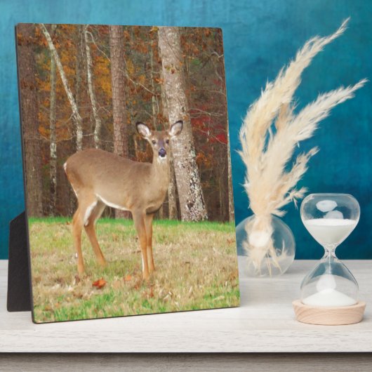 Plaque Photo Un cerf de rêve de chasseur (Côté)