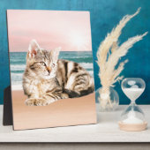 Plaque Photo Un chat à rayures plus mignon assis sur la plage a (Côté)