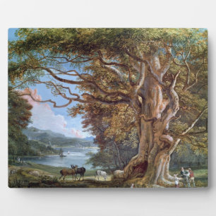 Plaque Photo Un hêtre ancien, 1794 (huile sur toile)