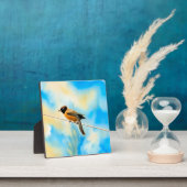 Plaque Photo Un oiseau solitaire et coloré (Insitu)