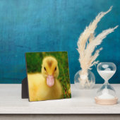 Plaque Photo Un Petit Canard (Insitu)