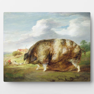 Plaque Photo Un vieux pot Gloucestershire (huile sur panneau)