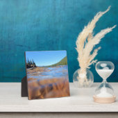 Plaque Photo Underwater View (Insitu)