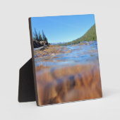 Plaque Photo Underwater View (Recto)