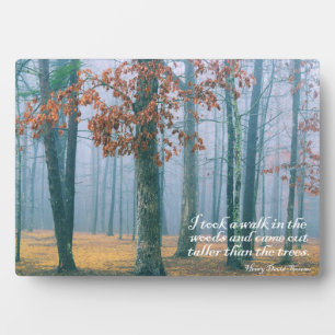 Plaque Photo Une balade dans les bois