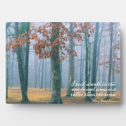 Plaque Photo Une balade dans les bois (Devant)