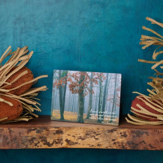 Plaque Photo Une balade dans les bois (Côté)