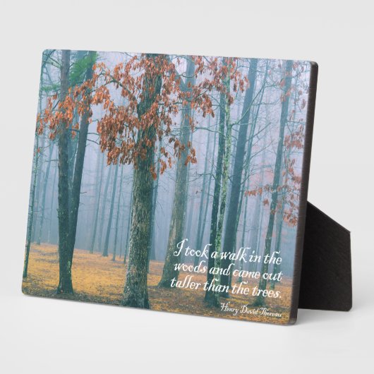 Plaque Photo Une balade dans les bois (Côté)