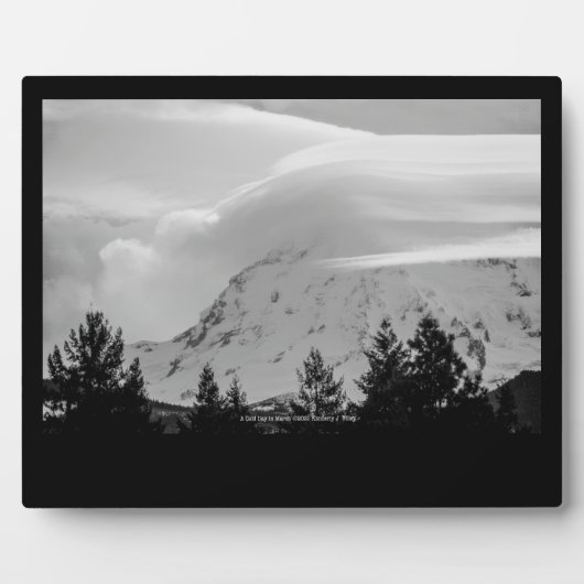 Plaque Photo Une journée froide en mars (Devant)