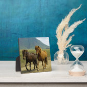 Plaque Photo Une paire de poneys islandais Brown (Insitu)